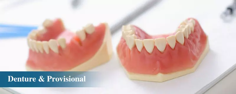 bone segmentation